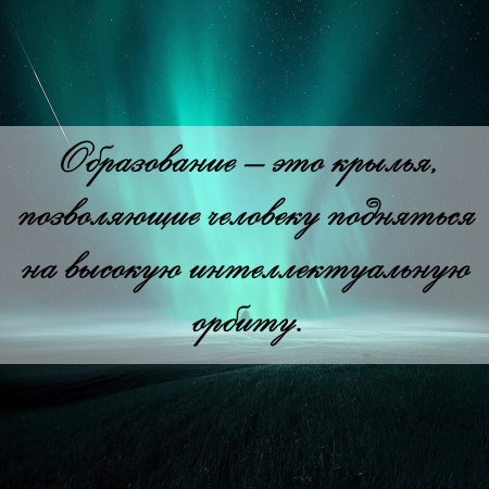 цитата об образовании и контрольной